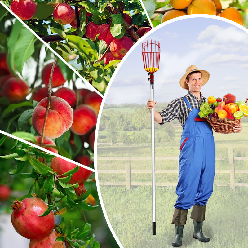 Juego de recolectores de frutas, artefacto de recolección de frutas telescópico multifuncional, herramienta de recolección de frutas a gran altitud, accesorios de varilla de extensión, venta al por mayor transfronteriza