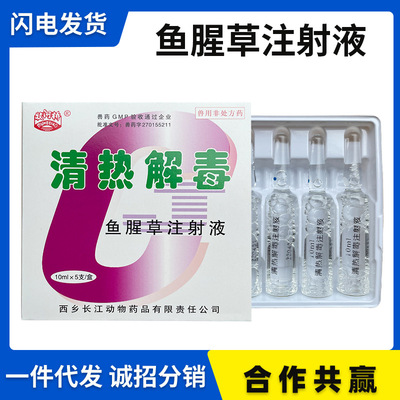 兽药兽用鱼腥草注射液10ml*5支/盒 120盒/箱 孕畜可用 量大优惠