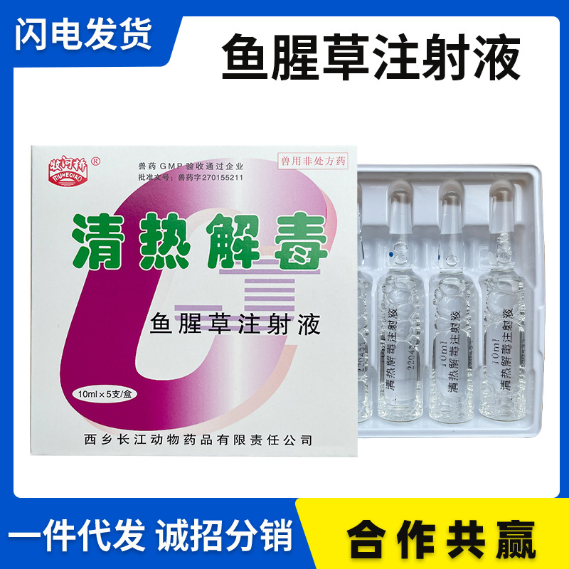 兽药兽用鱼腥草注射液10ml*5支/盒 120盒/箱 孕畜可用 量大优惠