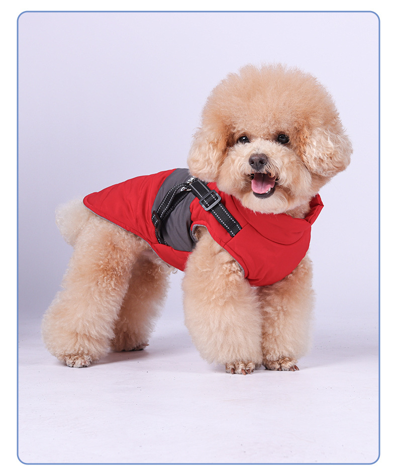 Winter New Dog Leash, Pet Cotton Coat, Thickened Waterproof Windproof Jacket With Pockets For Small Dogs_voghion.com
