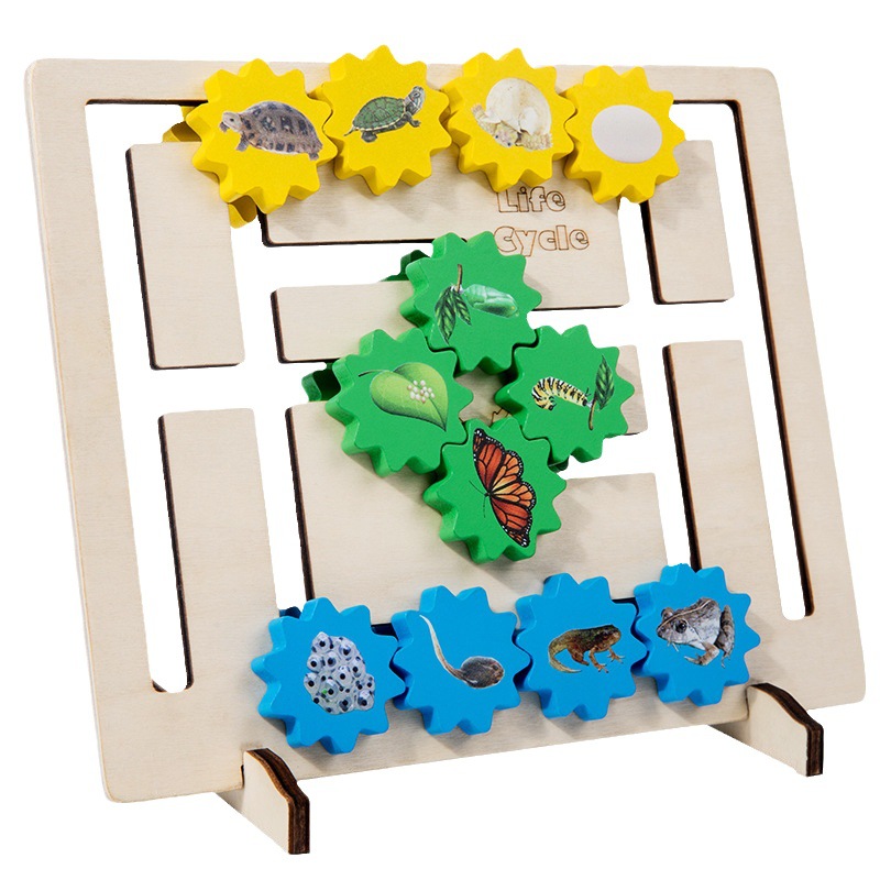 Selección estricta de la evolución del ciclo de crecimiento de la vida, posición de engranajes, juguetes cognitivos de animales, jardín de infantes, ayudas didácticas científicas Montessori