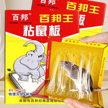 现货厂家百邦粘鼠板加大百邦王粘鼠贴加厚强力捕鼠器批发自带诱饵