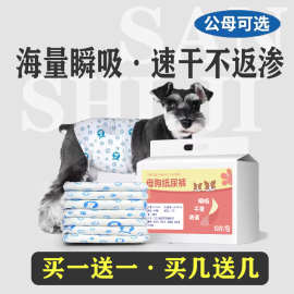 狗狗尿不湿纸尿裤宠物泰迪姨妈生理裤公狗母狗卫生巾女月经裤