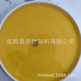 �A������ ���� �u�� �i�� ţ�� �~�� �m������ˮ�a ����ă�