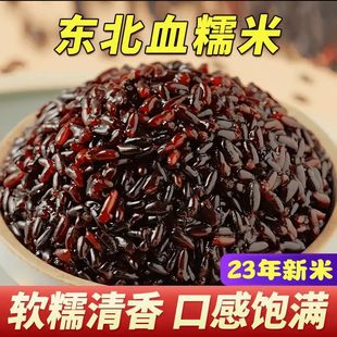 �|��ѪŴ�׺�Ŵ��Ŵ��F������s�Z�M�ϼ��þ������F����