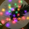 Elegant snowflake (multicolor)