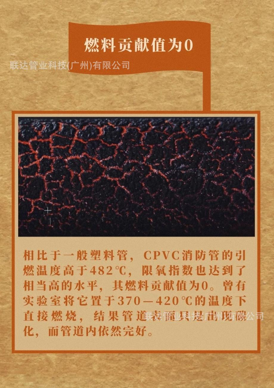 IMG_4548(20231214-231929)