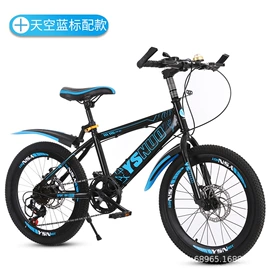 山地自行车;滑板车;儿童自行车