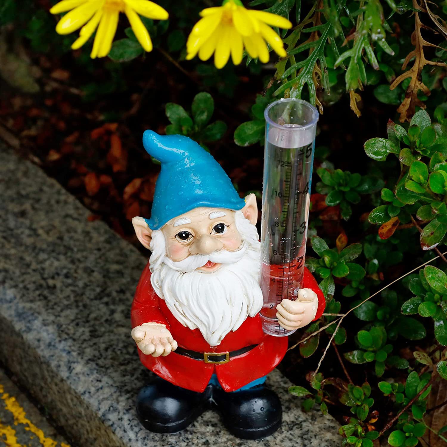 81dwsrUYtLL._AC_SL1500_