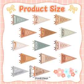 婴儿年龄标志每月里程碑横幅旗帜14件毛毡无纺布出生里程碑三角旗