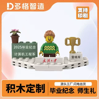 积木礼品定制学校学院2026毕业纪念人像照片来图设计摆件摆台手办