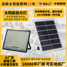 新款满天星太阳能投光灯 led光控防水路灯定时照明户外庭院灯批发