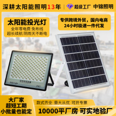 新型満天星太陽光投光器led光制御防水街灯定時照明屋外庭灯卸売り