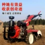 自走式360度旋耕果园耕田机