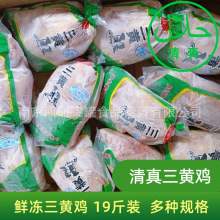 清真纯干三黄鸡7-15只 整箱冷冻19斤装童子鸡整只鸡Halal chicken