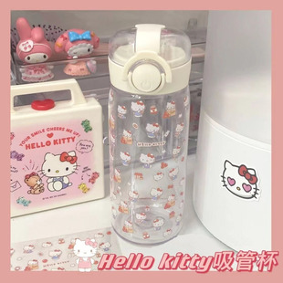 hellokitty Summer Straw Plastic Water Cup Female Student Japanese Style Cute Super Cute Cinnamon Dog Cute Handicap Cup