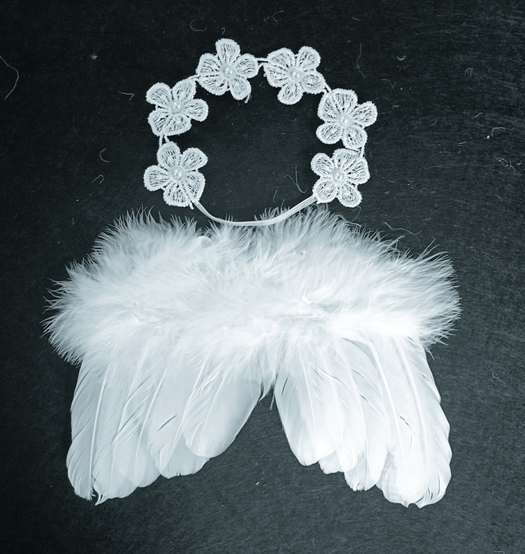 微信图片_20230710181500