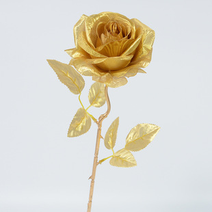 ��ɫõ���֦���潁�����yõ���}�Q�̈�����Ɍ��b廨����DIY