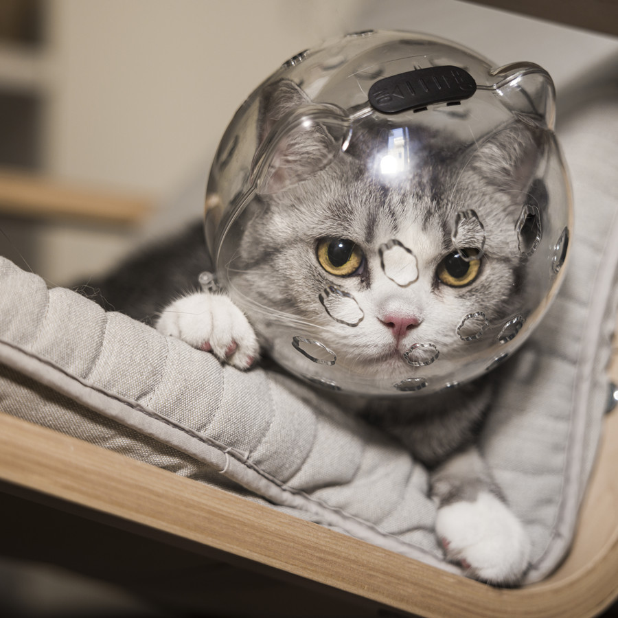Upgraded Cat Ears Pet Space Helmet, Cat Bite and Scratch Proof Breathable Protective Helmet, Dual Lock Design
