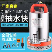 直流潜水泵电瓶电动车农用不锈钢抽水机12V48V60V水井灌溉水族箱