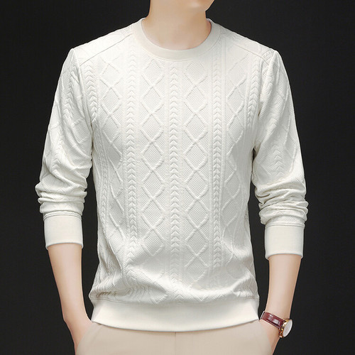Heavy Industry Embroidery Men's Sweatshirt Autumn New Round Neck Knit Top for Youth and Middle-aged Long Sleeve Base Shirt for Dropshipping