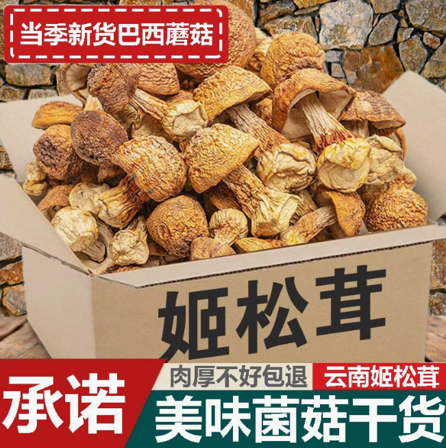 姬松茸干货当季新货农家特产菌菇净重营养煲汤野生菌厂家批发代发