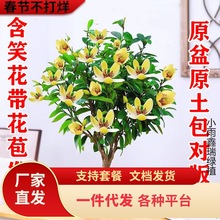 һlЦ̨҃ͥԺԴϷļ_