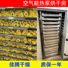 ֹϺəC عϸɌúOƬəC ֿ՚ܺəC