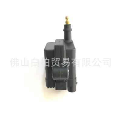 Alovlanma bobini (Babinalar) 300879984t01 Ignition Coil