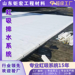Polymer siphon drainage system construction garage top board PED14 protective drainage alien siphon drainage board