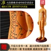Copper soft soft model [52cm female model] Arms can be transformed in ultra-clear large characters