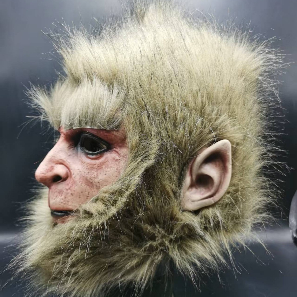 2024-08-28 11:08:30.jpg