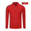 Demi-season cotton polo, T-shirt, long sleeve, with embroidery