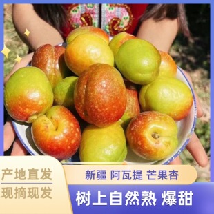 �½�������â���������½�����ˮ���Fժ�F�lһ�����l���N