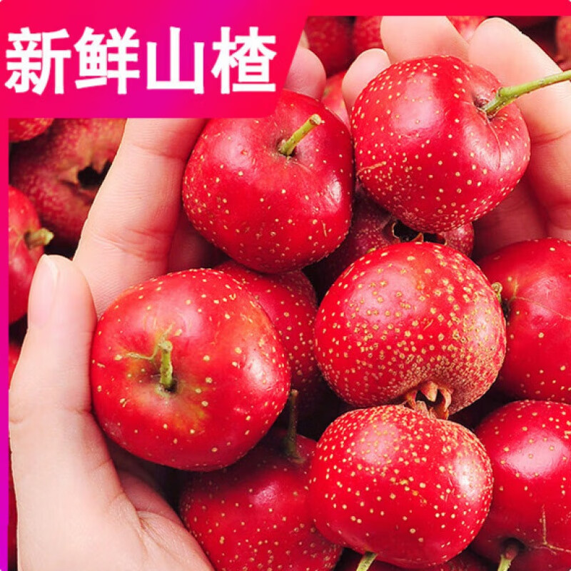 山楂果新鲜山楂果纯农家鲜大山楂水果货冰糖葫芦天然红果新鲜水果