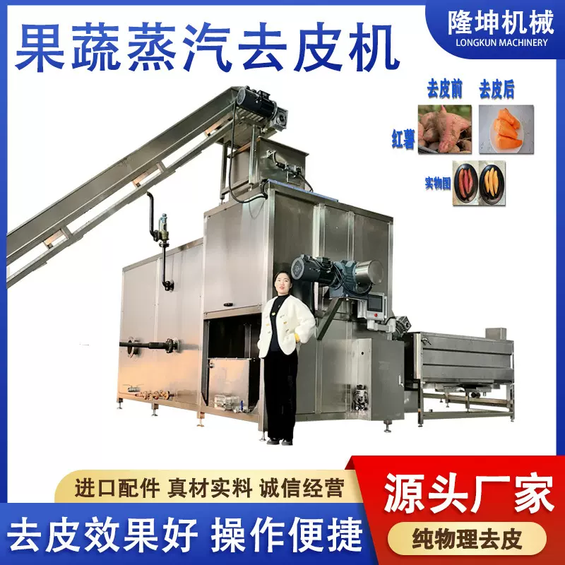 山东隆坤全自动果蔬去皮机 红薯蒸汽脱皮机 西红柿胡萝卜去皮设备