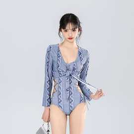 2024新款泳衣女连体裙式仙女范遮肚显瘦性感韩国ins风泡温泉泳装