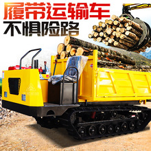爬山虎履带式运输车农用小型果园工程搬运车全地形自卸山地运输车