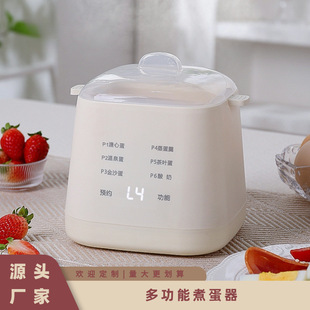 Household Mini Boiled Egg Custard Artifact Automatic Power-Off Multi-Functional Egg Cooker Multi-Layer Egg Steamer Manufacturer Cross-Border