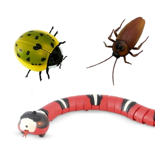 (Cross-border trading), interactive automatic electric dynamic induction toy