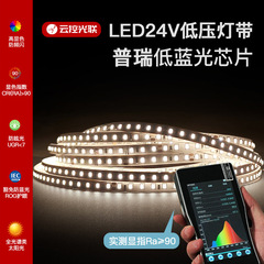 Puri 24V 低電圧ライトストリップ LED ライトストリップ自己粘着高 CRI 超高輝度 2 色調光柔軟な電気メッキ 2835 ライトストリップ