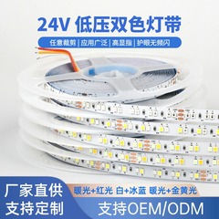 卸売 24v 低電圧 2835 デュアル色温度ランプ LED ライトストリップワードローブ化粧鏡 3 色調光雰囲気ライト調光