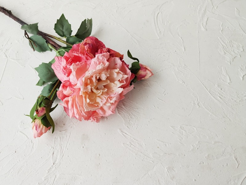 742g Weight Artificial Plant Event & Party Supplies 1 Piece Quantity Birthday, Date, Festival Occasion Silk Flower Material Peony Pattern Elegant, Romantic Style Elegant Romantic Peony Silk Flower Artificial Flowers 5
