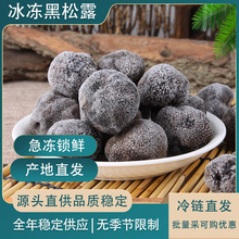 云南高黎贡山冰冻黑松露菌猪拱菌1000g原产地货源一件代发批发