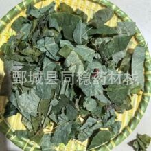 淫羊藿  洋火叶【同稳药材】中药材批发供应 规格齐全 产地 甘肃
