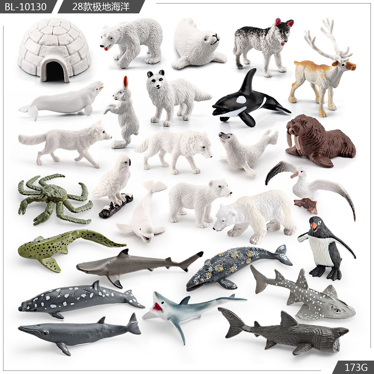 Exportación transfronteriza simulación modelo de animales polares mini animales de invierno ártico beluga morsa cognición educación temprana decoración