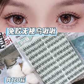无梗鸟系免胶免卸假睫毛纤长柔软舒适又甜又盐自然上镜快速上眼