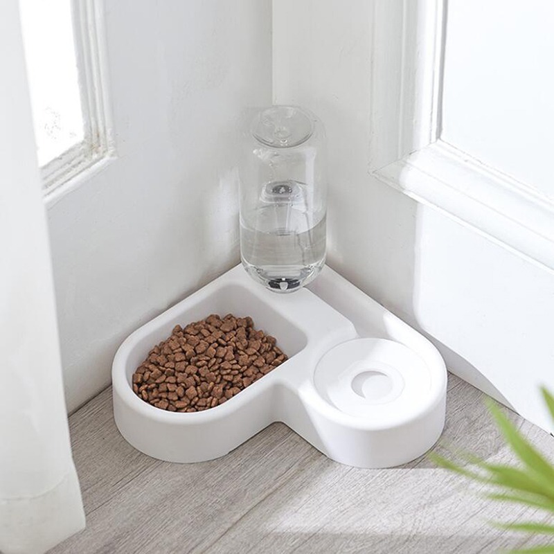 Small dog food bowl