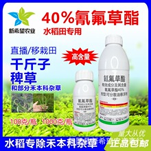 40% ˮó݄ ǧӰ޲ݺ̱sݵ݄