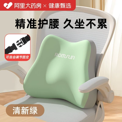 Waist support: Sitting Posture Correction - Exclusive - adjustable-straps-for-fixation-fresh-green